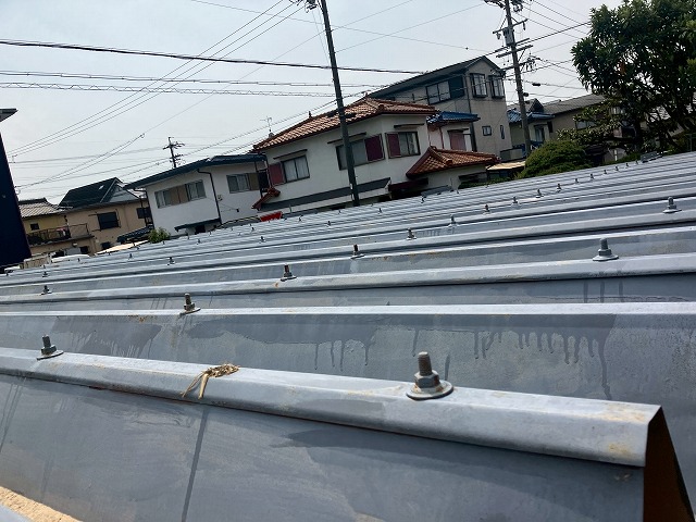 点検した折板屋根